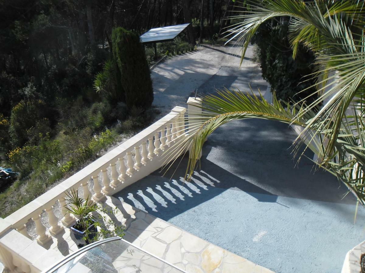Charmante Villa A 15 Min De Nice Avec Piscine Blausasc Экстерьер фото